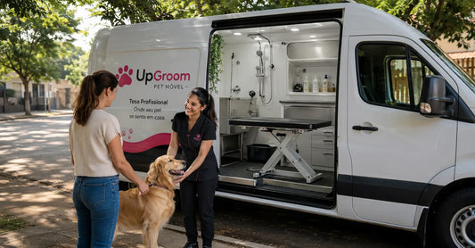 Van adaptada como pet móvel com groomer recebendo cão golden retriever da tutora