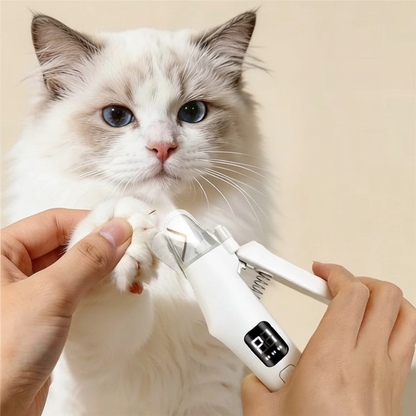 Gato com produto